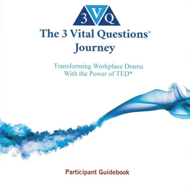 3 Vital Questions Journey Guidebook